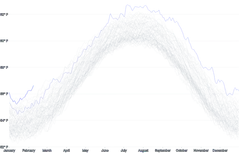 LineChart - large-series